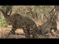 Kathrine Sørland på Safari i Afrika Kathrine Sørland på Safari i Afrika