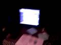 videos de VIDEO 005