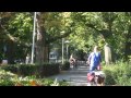 YouTubeサムネイル[9CR4pXw1Aa8] - 1枚目