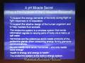 Dr. Robert Young's lecture in Omaha Nebraska- 6 of 7
