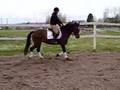 videos de Underbart sto till SALU!! (trav)