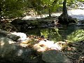 The Bucolic Beauty of Central Park