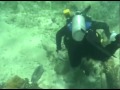 Просмотр видео