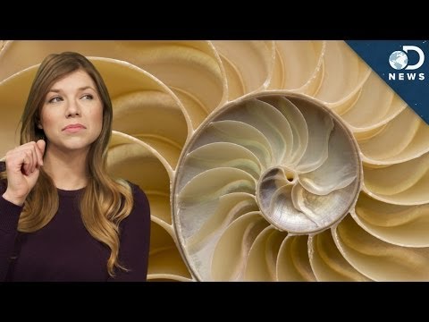 how to use the golden ratio