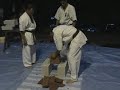 4 Ziegel ohne Abstandhalter in einem einzigen Block.Thats Shinkyokushin!!!