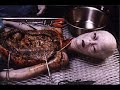 Real Amazing Alien Photos Real Amazing Alien Photos