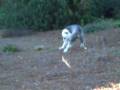 videos de jugando.AVI