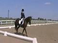 videos de Melissa Training Level 4