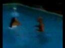 Julinha sendo jogada na piscina!