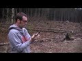 Walther P22