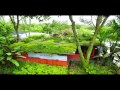 Ecologically Friendly Green Systems from Elmich