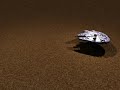 First successful hover
