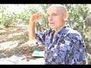 Hepatitis CureMovie -- Segment 2