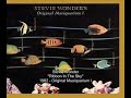 Stevie Wonder - Ribbon In The Sky Stevie Wonder - Ribbon In The Sky