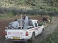 كوكب ابو الهيجاء قرية مميزة ، بموقعها وسكانها ، بتاريخها وبهوائها ، فيبلغ عدد سكانها ما يقارب 3000 نسمة .من الجهة الغربية تطل كوكب نحو حيفا وخليجها وحتى عكا ورأس الناقورة وجنوبا نحو الناصرة وجبالها وقراها ، وشرقا نحو سلسلة جبال يودفات ( جفات ) .ويبدو ان موقعها المميز هذا ، قد انعكس ايجابيا على اخلاق ومزاج سكانها ، فهم يتميزون بهدوئهم وطول بالهم ، ومزاجهم الهادىء ، وهذا ما يميز كلامهم ، وهذا الشيء يميزها عن اي قرية عربية .تقع القرية على مرتفعات الجليل الاسفل الغربي ، وترتفع الى علو 425 متر عن سطع البحر ، ويشكل الموقع الجغرافي للقرية تطور للسياحة ،حيث تتواجد حديقة التماثيل الجذابة محور جذاب للمتنزهين وانصار الفن والسلام والتي انارت على القرية معلم ، مع انها كانت منيرة بأهلها ، مقامها ( أبو الهيجاء ) ، مغرها ، عيونها ، وديدبتها ( جبل الديدبة ) .قرية كوكب أبو الهيجاء من اجمل القرى العربية في الشمال ، التي تميزت خلال سنين عديدة بفنها الراقي، وهو النحت ، فحدائقها الجميلة وشوارعها النظيفة لا تخلو من التماثيل التي قام بصنعها العديد من الفنانين من البلاد وخارجها حيث انة يقام كل سنة مهرجان للتراث والزجل فيها ويهتم المجلس المحلي وجمعيات أهلية مؤخرا بنظافة البلد وجمالها والجانب البيئي.