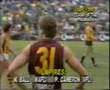 1986 Battle Of Premiers - Subiaco v Hawthorn