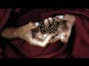http://toutsurlachine.blogspot.comAlain Duhamel - L'appel à l'aide du Dalai-Lama - jeudi 20 mars 2008