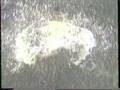 videos de Stirchley Boys - Diving