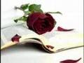 slow bir �ark�