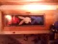 Video 0045