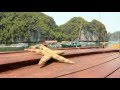 Special package 1 : Lan Ha - Halong 3 days 2 nights - Cruise only