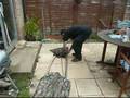 survival stretcher