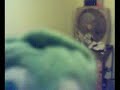 Baila yuliana_junio_02_2007