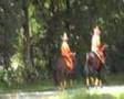 videos de Lits+Lauwers018  Mâlewei17
