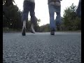 ass parade