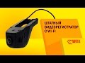 Видеообзор Falcon WS-01-UNI