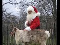 Stelele Banatului si  - Moş Crăciun cu plete dalbe