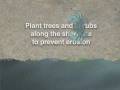 videos de Maryland Public Television Chesapeake Bay Interstitial