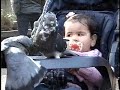 PALOMAS