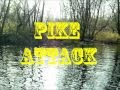 PIKE ATTACK (Luccio ticino a spinning)