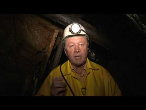 Video anschauen