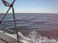 On the Boat