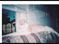 Racey's Movie.wmv