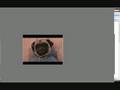 videos de 5 Syge gangster hunde