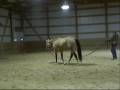 videos de Vested In Zanagold