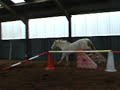 Marci Loose Jump 7th Jan 09 Marci Loose Jump 7th Jan 09