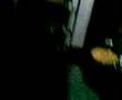 corchazo en el orto P1