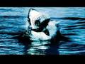 ＜サメ－Shark172－＞アース