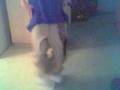 Da iLLest C-Walkin 