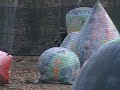 paintball in Vogelweh Germany
