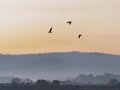 galicia: rias bajas y san sebastian