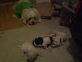 Benji con Sus Hijo RenGones Benji con Sus Hijo RenGones