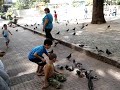 luciano y las palomas - solo el amor