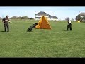 Indian Creek Schutzhund Club May 4th 2008