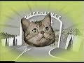psyko-ferret-clip.html