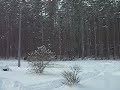 500ssman's Sledding Season 2006/2007